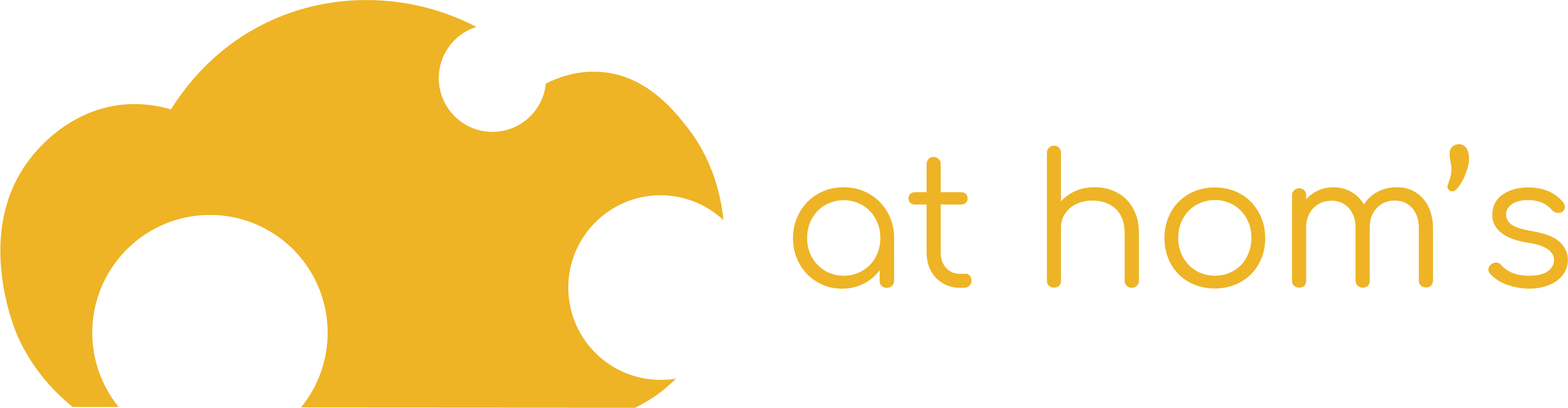 At Hom's SoftWare